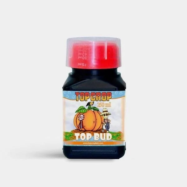 Top Bud