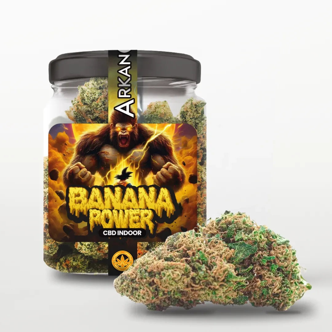 Banana Power CBD | Flor Indoor Premium Aroma Tropical – Arkano